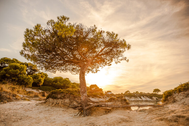bildbearbeitungskurs-lightroomkurs-fotokurs-fotoworkshop-tirol